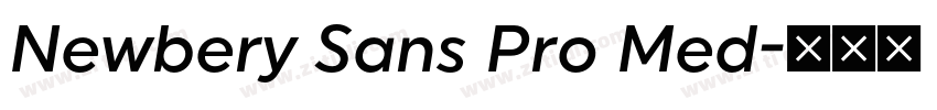 Newbery Sans Pro Med字体转换 Newbery Sans Pro Med字体转换